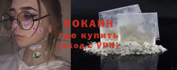 соль ск Абаза