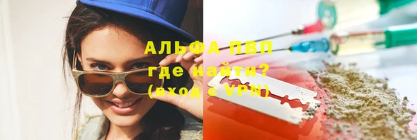 сатива Абинск