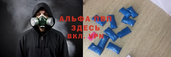 сатива Абинск