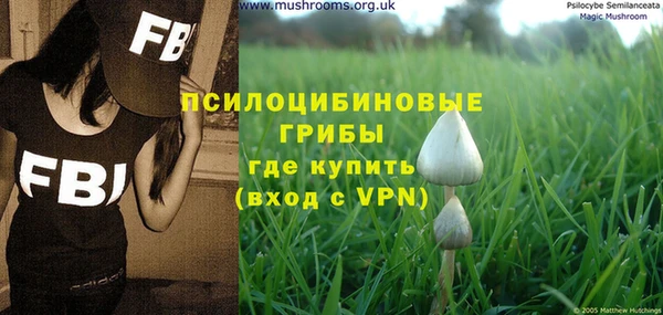 спайс Протвино
