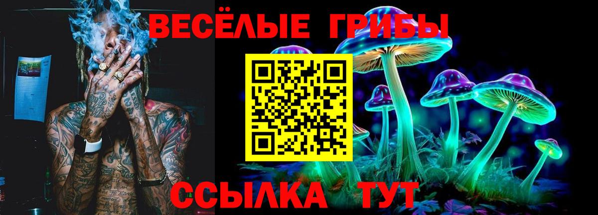 Азнакаево  Псилоцибиновые грибы Psilocybe  Вход с VPN  Псилоцибиновые грибы MAGIC MUSHROOMS 